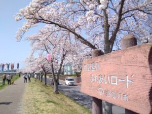 須賀川さくらまつり◆4月1日(火)～4月20日(日)